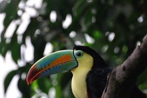 11_02_2014_115003__01