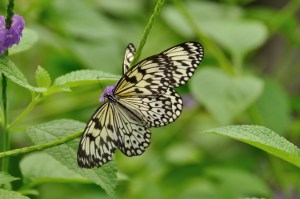 11_02_2014_123508__01