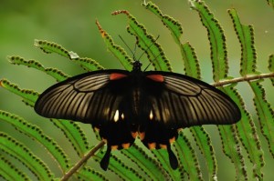 11_02_2014_124039__01